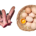 Nhung hươu hấp trứng gà: Bồi bổ cơ thể, chống suy nhược