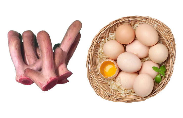 Nhung hươu hấp trứng gà: Bồi bổ cơ thể, chống suy nhược